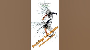 Fly tying Partridge Soft Hackle. Orange copper wire.