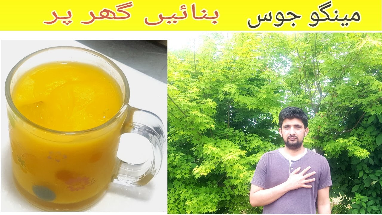 Mango juice, How to make mango juice in urdu by raja zaibi chef,Cooking