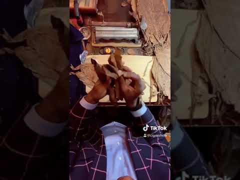 Видео: корпоратив