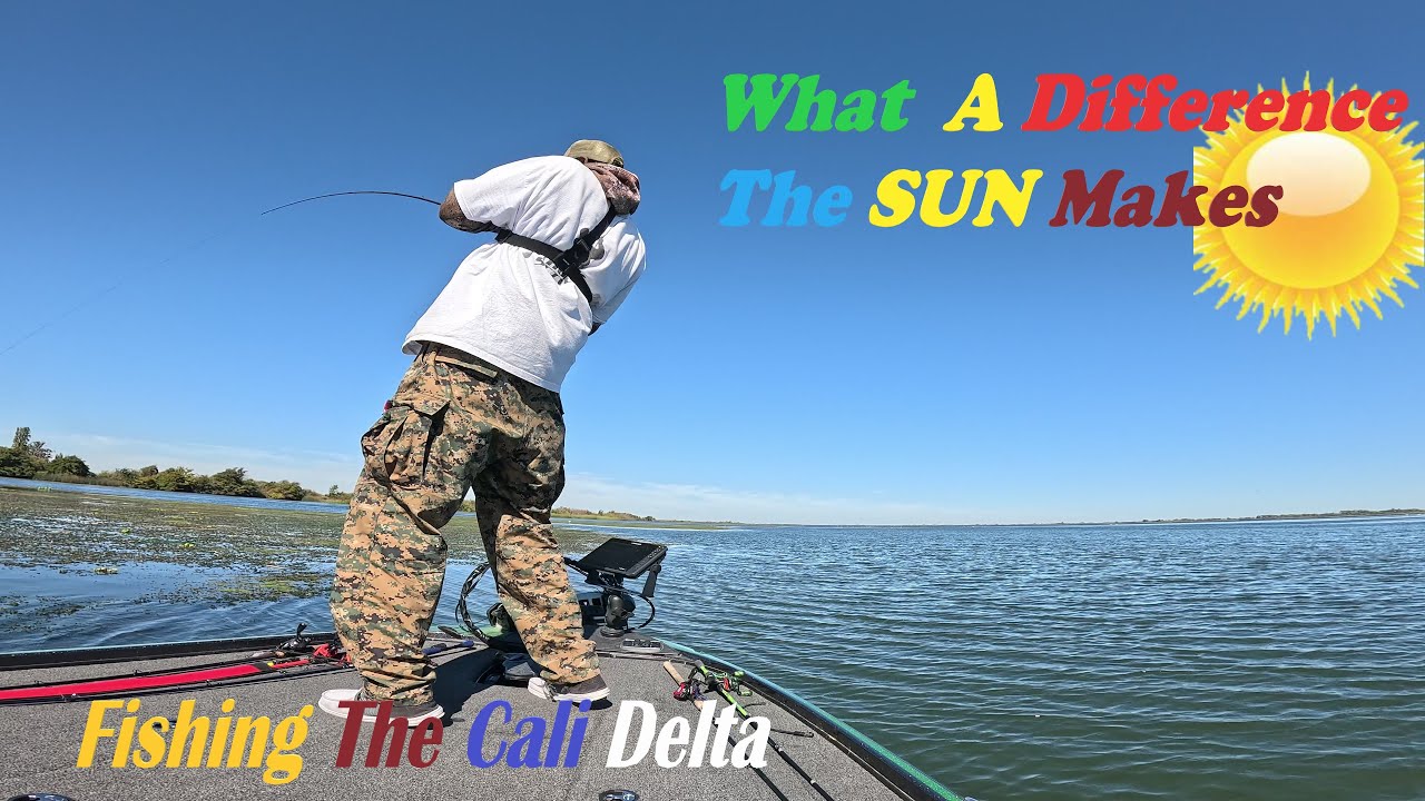 What A difference the Sun Makes – California Delta BASS Fishing