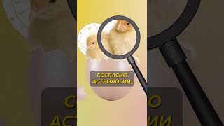 Астрология — Древнейшая Лженаукой #Астрология #Наука #Редакциянаука #Дизайнчеловека