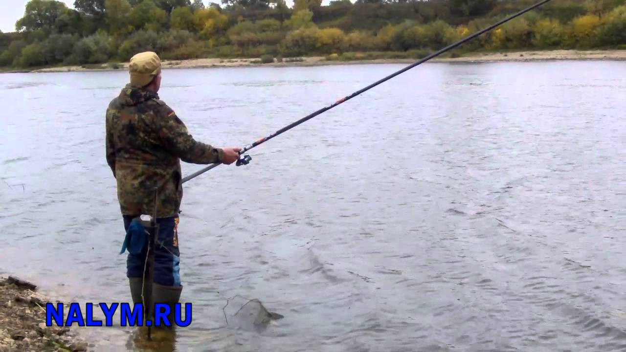 Ловля болонской снастью: рыбалка болонской удочкой видео как сделать Ловля на болонскую удочку
