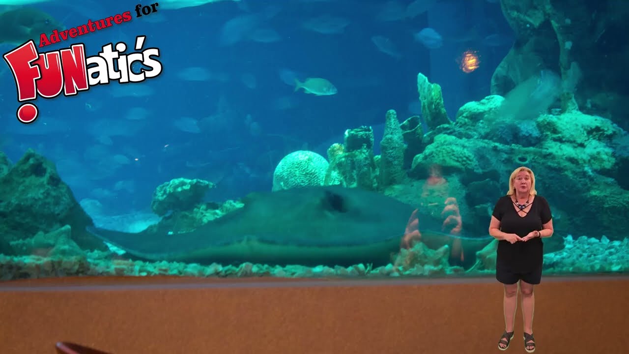 Coral Reef Restautant (Landscape View)