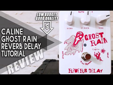 AWESOME Budget DELAY | Caline CP-41 - Ghost Rain | VIDEO REVIEW [NO TALK]