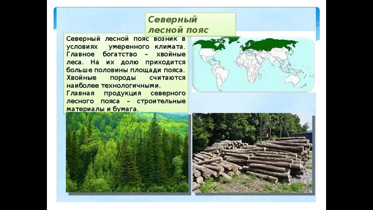 Регионы россии богатые лесными ресурсами