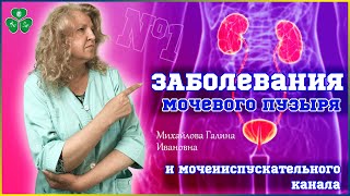 ЗАБОЛЕВАНИЯ МОЧЕВОГО ПУЗЫРЯ И МОЧЕИИСПУСКАТЕЛЬНОГО КАНАЛА | мочевыделительная система | № 1