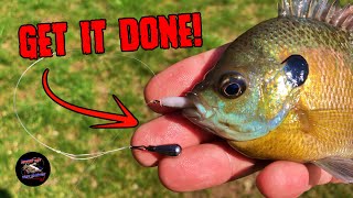 How to Make the Drop Shot Rig | Drop Shot Fishing for Bluegill