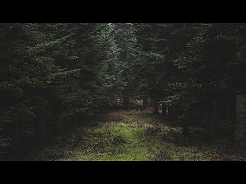I’m Not Them - Them and I (Lyrics)