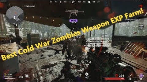 Cold War Zombies: FASTEST WEAPON XP GUIDE/TUTORIAL! SOLO!