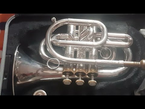 How To play Trumpet In Hindi 🎺 Iरेे पट्टी। (Re