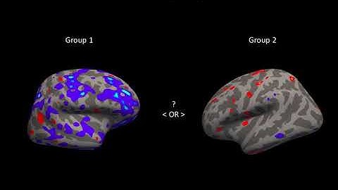 FreeSurfer Lecture #2: Group Analyses and Failure Modes