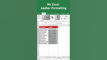MS Excel Aadhar Number Formatting Trick  #excel