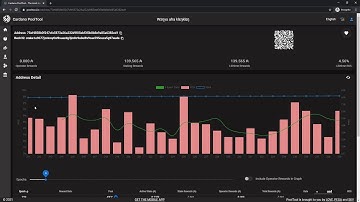 How to track and export your Cardano Ada delegation rewards