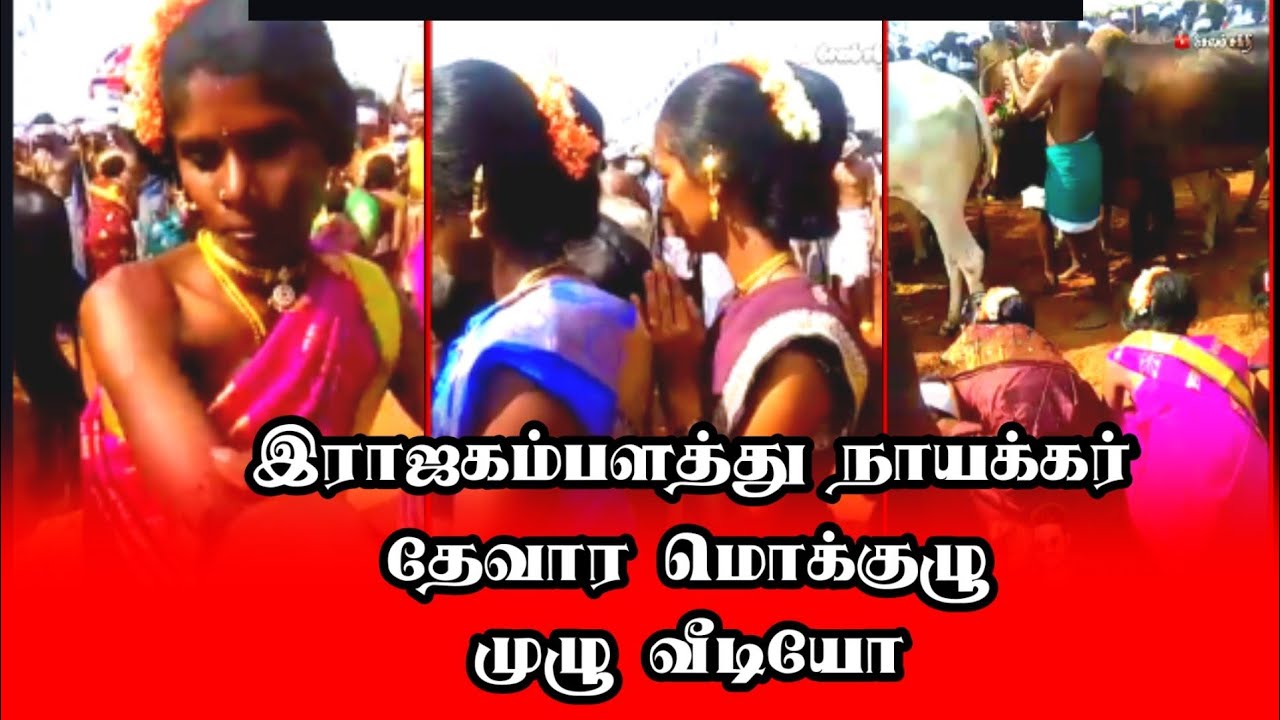 நாயக்கர் கும்மி பாடல் 💕 நாயக்கர் தேவராட்டம் 💕 நாயக்கர் சேர்வை பாடல் 💕Nayakkar kummi paadal status