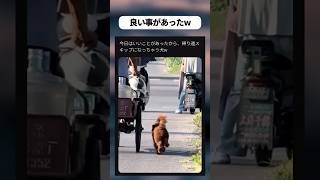 いいことがあったw