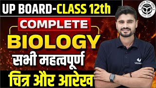 Class 12 Biology पूरी BOOK के महत्वपूर्ण चित्र व आरेख | UP Board 12th Biology Important Diagram 2024