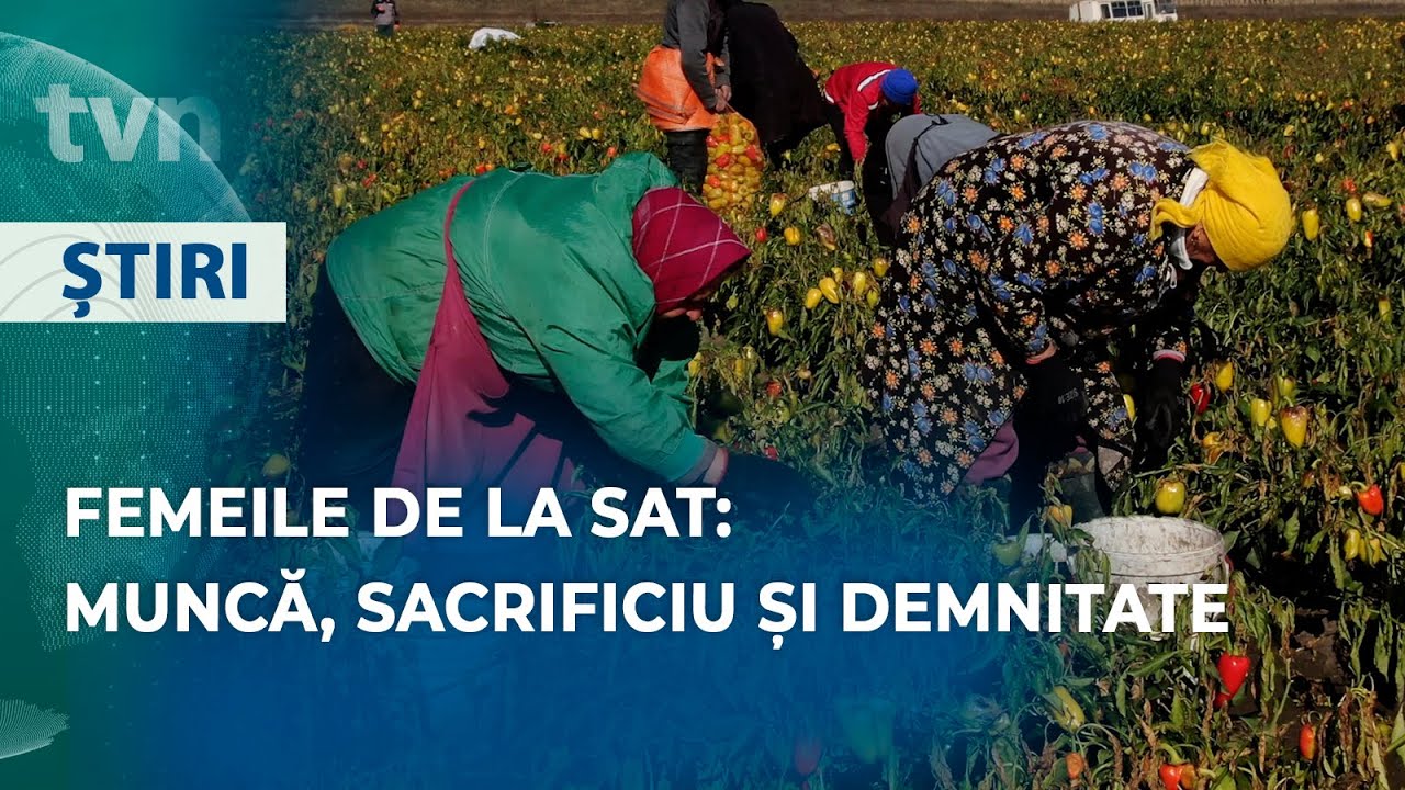 SĂRBĂTOARE ÎNTRE BRAZDE ȘI DOR