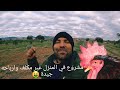 مشروع دجاج الرود ايلاند Chicken Rhod Island Red الحلقة 15 