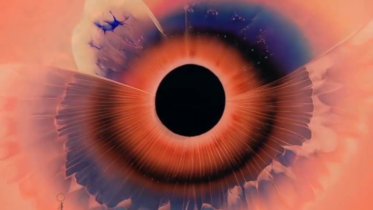 A.gorafobia - Siren's Cry 