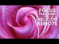 Comment utiliser helicon remote  tutoriel easy focus stacking