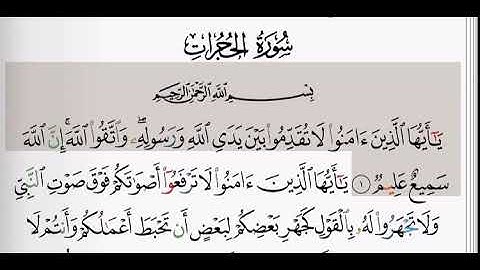 (49) سورة الحجرات | شيخ الزين محمد احمد