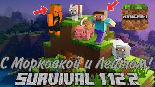 Выживание с модами 1.12.2 с Морковкой (Minecraft)