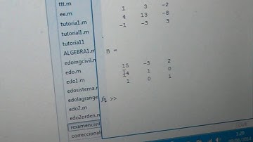 MATRIZ INVERZA Y DETERMINANTES CON MATLAB