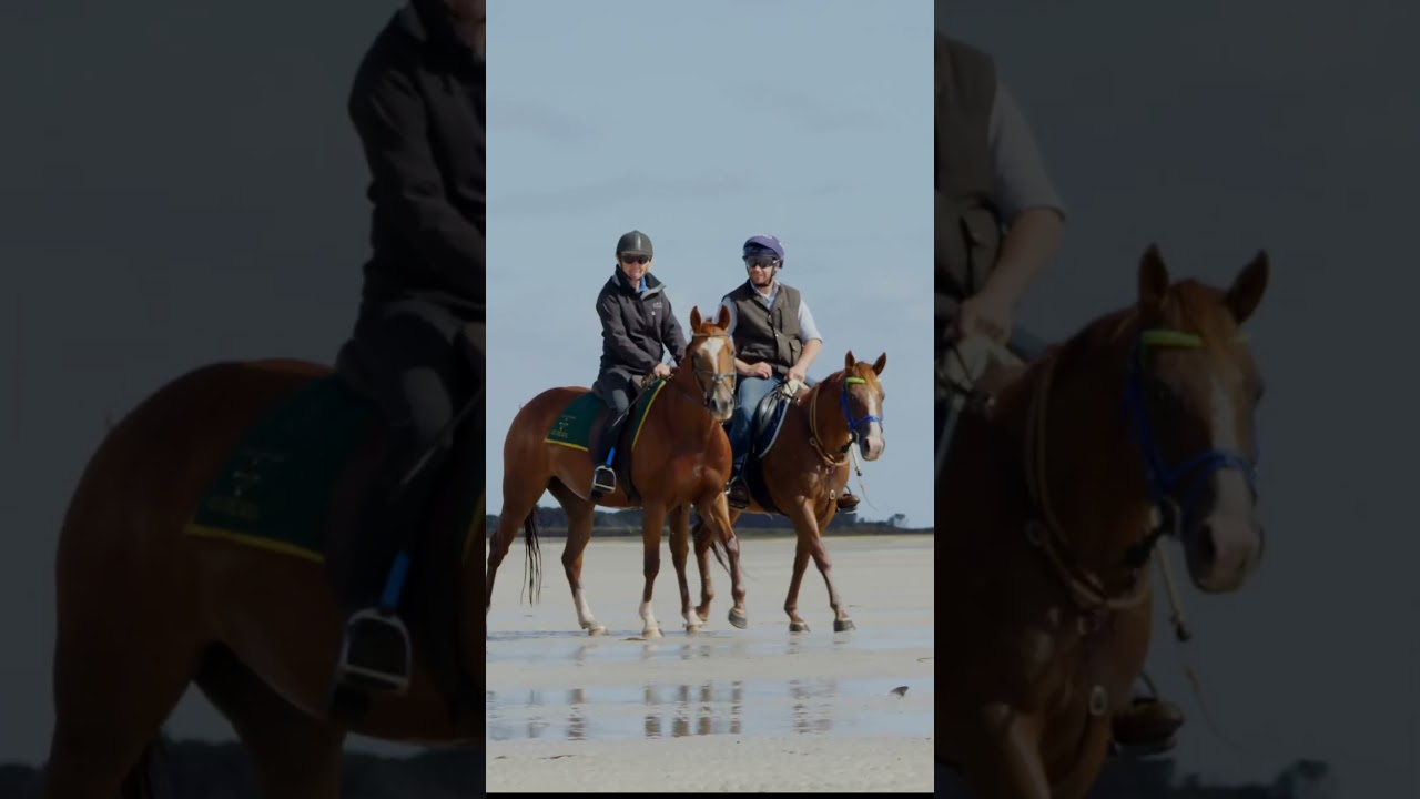 30 years - Robbins Island Wagyu