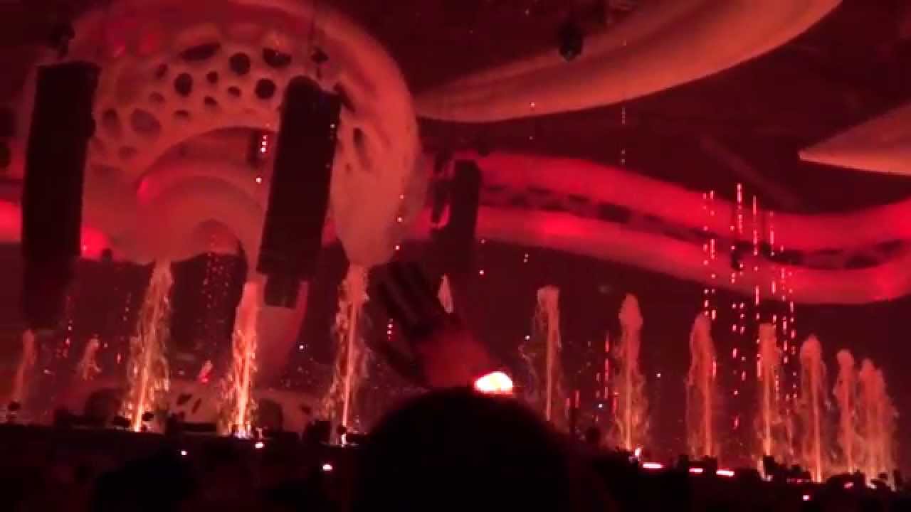 sensation into the wild 2014