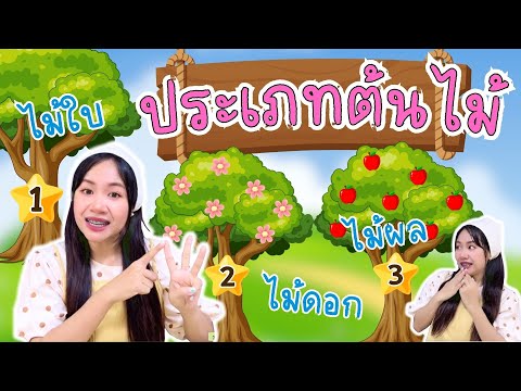 หน่วย ต้นไม้ที่รัก 🌲🌳🌴🌵 เรื่อง ประเภทต้นไม้