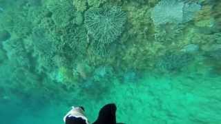 Pole Spearfishing: Toguchi, Okinawa