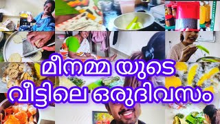 A Day At Meenammas House