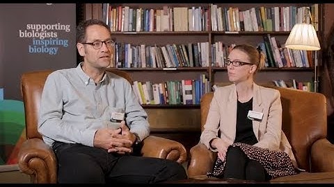 The Company of Biologists Workshops - Thinking beyond the dish