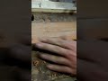 Fresa romana sem tupia dicas de marcenaria diy faça voce mesmo #shorts