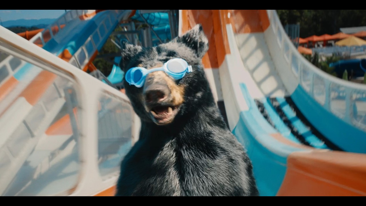 It's Only Natural to Visit Sevierville, TN