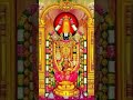 || శ్రీ వేంకటేశ్వర స్వామి || గోవింద గోవింద గోవింద #devotional #shorts #viralvideo #youtubeshorts #yt