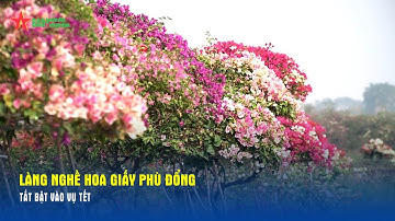 Làng nghề hoa giấy Phù Đổng tất bật vào vụ Tết