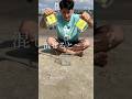 濃縮海水と淡水を混ぜると電気が生み出せる？！#shorts