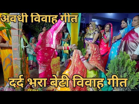 पापा के खेतवा में ऊपजे हरदीया#अवधी विवाह गीत 🎷🥁#vivahgeet#lookgeet #trending #video viral