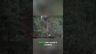 Bigfoot & Shadowy Figures - BC & Utah's Mysterious Sightings