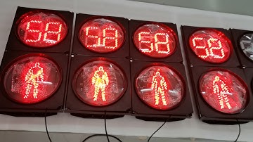Red  And Green Dynamic Pedestrian Traffic Light With Countdown Timer Two Aspects