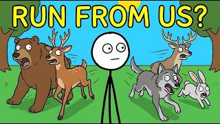 Why Do Animals Fear Humans So Much