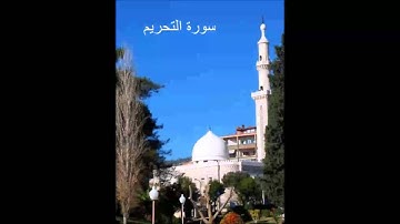 سورة التحريم - الشيخ ماهر شخاشيرو