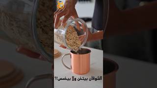 الشوفان بيتخن ولا بيخسس؟