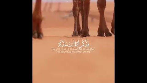 حالات وتساب اسلامية افلا ينظرون الى الابل كيف خلقت سورة الغاشيه