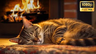 Relaxing with Purring Cat, Crackling Fireplace 🔥 Deep Sleep in Cozy Ambience, Stress Relief