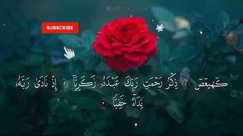 سورة مريم بصوت يريح البدن | القارئ ياسر الزيلعي 💕