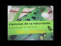 TEMA 6  NATURALES CORRECCIÓN