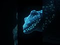 What Lives 13,000 Feet Below The Ocean