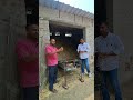 तुडी छानने वाली मशीन #reel #agri #viral #short #trending #shortsvideo